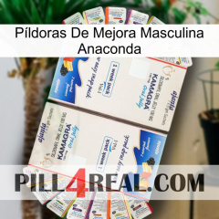 Píldoras De Mejora Masculina Anaconda kamagra1